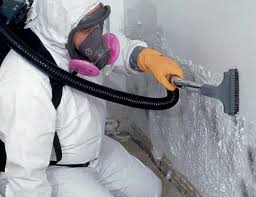 Best Environmental Consulting for Mold Prevention  in Harsville, RI